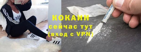 ПСИЛОЦИБИНОВЫЕ ГРИБЫ Каменка